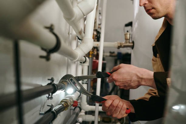 Best Same-Day Plumbing Service  in Northdale, FL