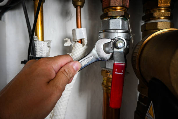 Best Commercial Plumbing Services  in Northdale, FL